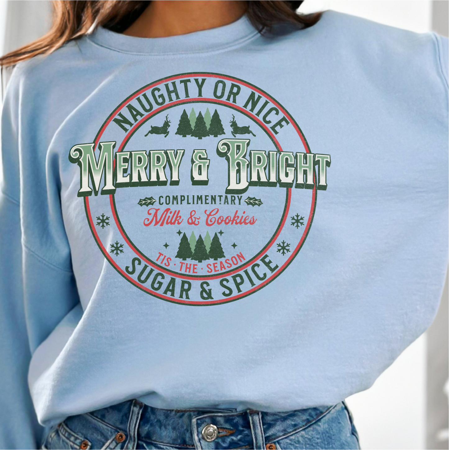 Merry & Bright Sweatshirt, Christmas Sweatshirt Gift