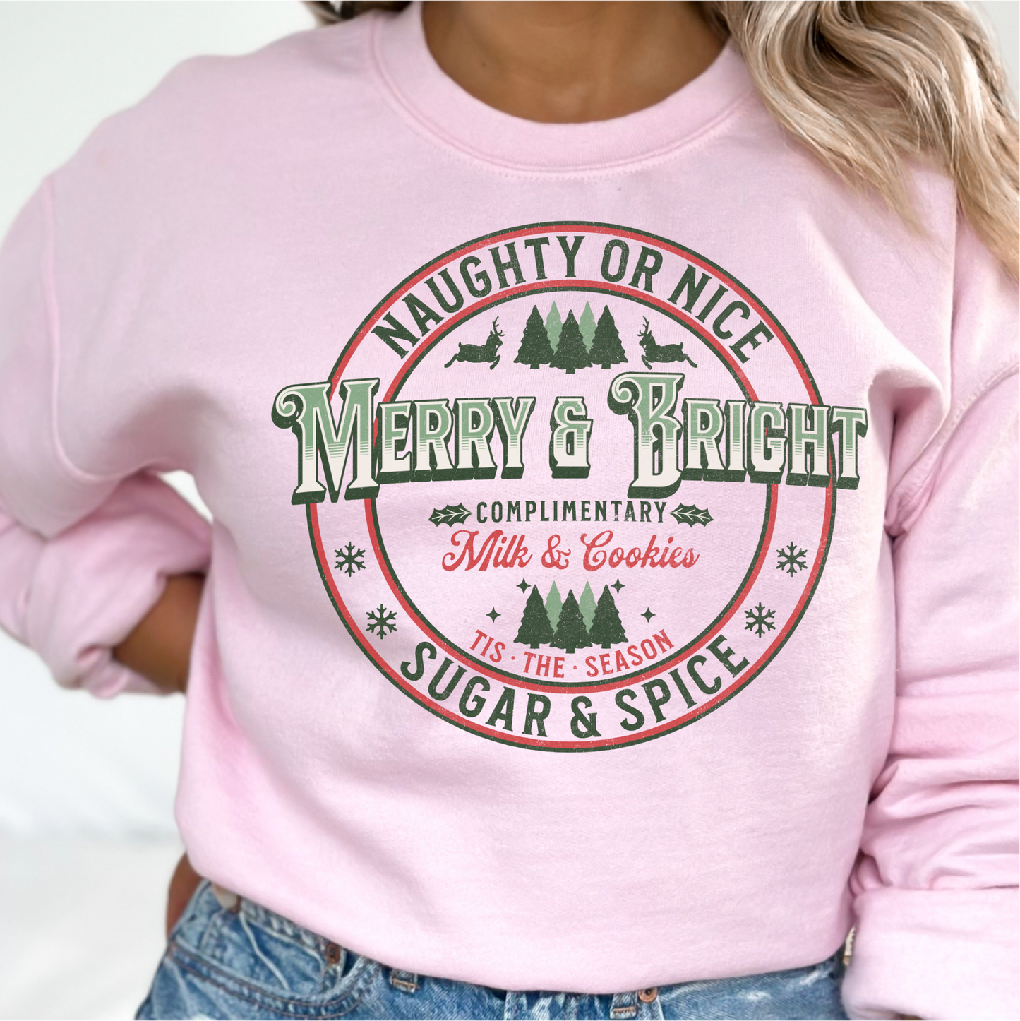 Merry & Bright Sweatshirt, Christmas Sweatshirt Gift