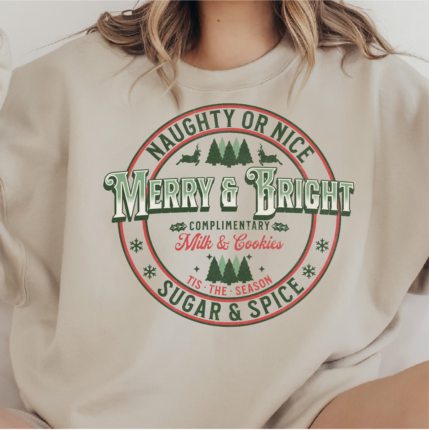 Merry & Bright Sweatshirt, Christmas Sweatshirt Gift