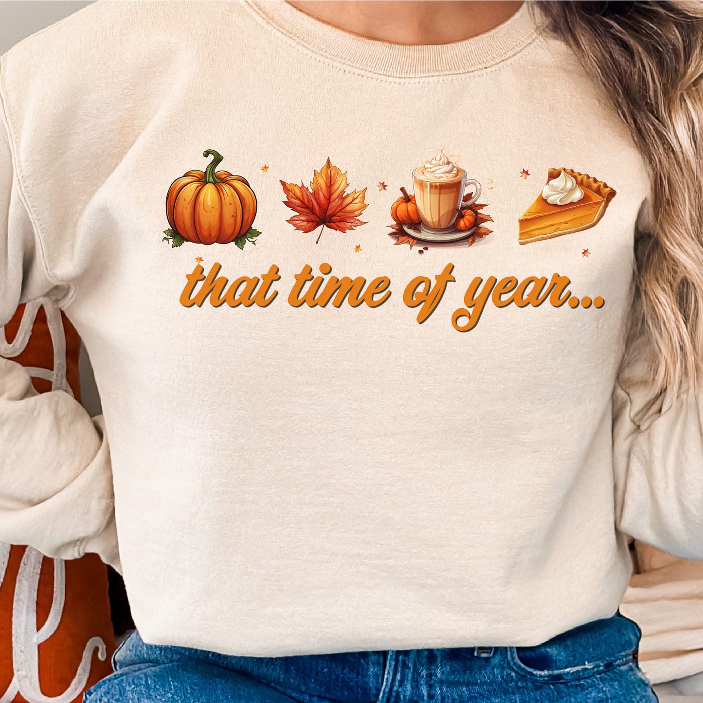 That Time Of Year Sweatshirt, Pumpkin Spice Season