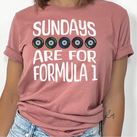 Sunday's Are For Formula 1 Shirt, Formula 1 T-Shirt